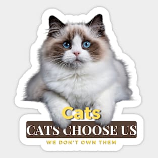 Cat Lover Sticker